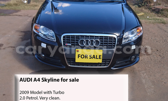 Buy Used Audi A4 Black Car in Lilongwe in Malawi