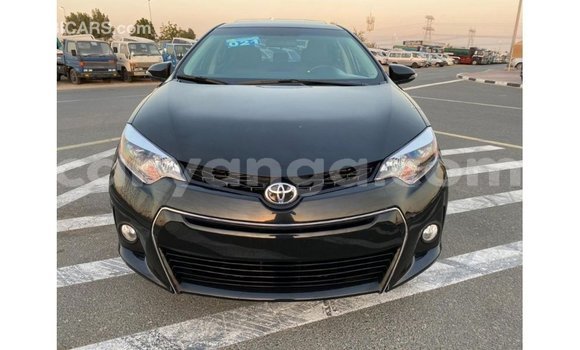 Buy Import Toyota Corolla Black Car in Import - Dubai in Malawi Buy Import Toyota Corolla Black Car in Import - Dubai in Malawi
