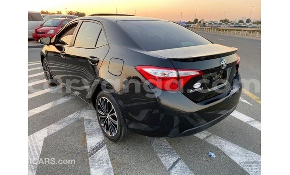 Buy Import Toyota Corolla Black Car in Import - Dubai in Malawi Buy Import Toyota Corolla Black Car in Import - Dubai in Malawi