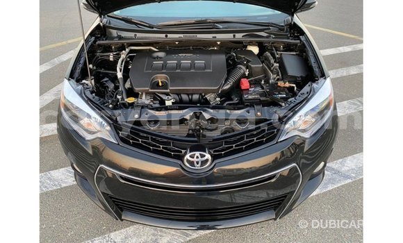 Buy Import Toyota Corolla Black Car in Import - Dubai in Malawi Buy Import Toyota Corolla Black Car in Import - Dubai in Malawi