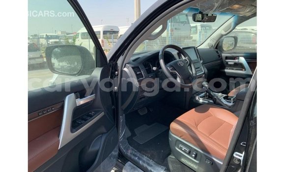 Buy Import Toyota Land Cruiser Black Car in Import - Dubai in Malawi Buy Import Toyota Land Cruiser Black Car in Import - Dubai in Malawi