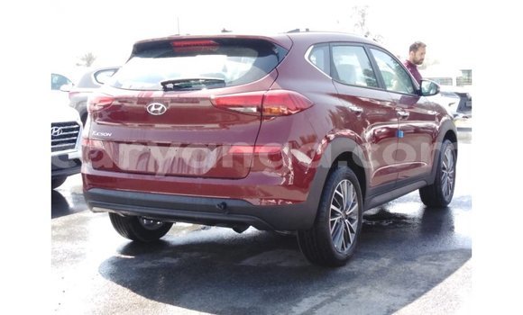 Buy Import Hyundai Tucson Red Car in Import - Dubai in Malawi Buy Import Hyundai Tucson Red Car in Import - Dubai in Malawi