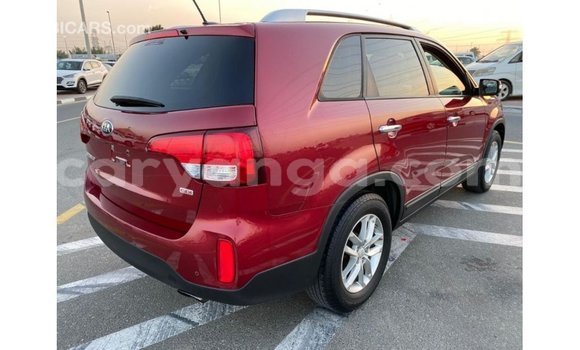 Buy Import Kia Sorento Red Car in Import - Dubai in Malawi Buy Import Kia Sorento Red Car in Import - Dubai in Malawi