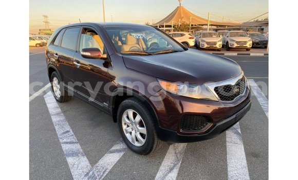 Buy Import Kia Sorento Brown Car in Import - Dubai in Malawi Buy Import Kia Sorento Brown Car in Import - Dubai in Malawi