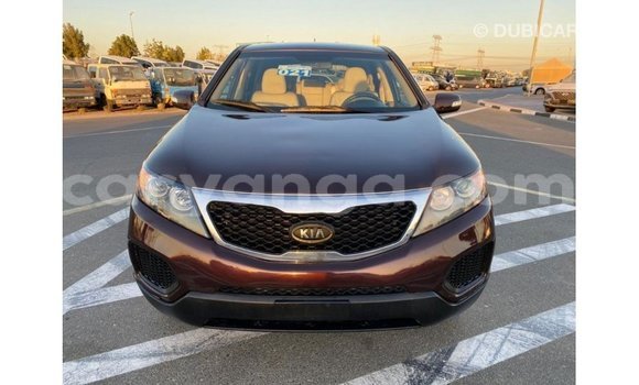 Buy Import Kia Sorento Brown Car in Import - Dubai in Malawi Buy Import Kia Sorento Brown Car in Import - Dubai in Malawi