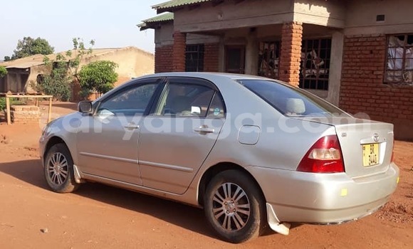 Buy Used Toyota Corolla Silver Car in Lilongwe in Malawi Buy Used Toyota Corolla Silver Car in Lilongwe in Malawi