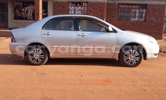 Buy Used Toyota Corolla Silver Car in Lilongwe in Malawi Buy Used Toyota Corolla Silver Car in Lilongwe in Malawi