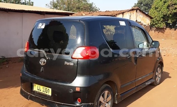 Buy Used Toyota Porte Black Car in Lilongwe in Malawi Buy Used Toyota Porte Black Car in Lilongwe in Malawi