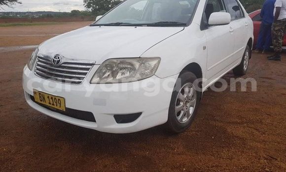 Buy Used Toyota Corolla White Car in Lilongwe in Malawi Buy Used Toyota Corolla White Car in Lilongwe in Malawi