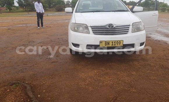 Buy Used Toyota Corolla White Car in Lilongwe in Malawi Buy Used Toyota Corolla White Car in Lilongwe in Malawi