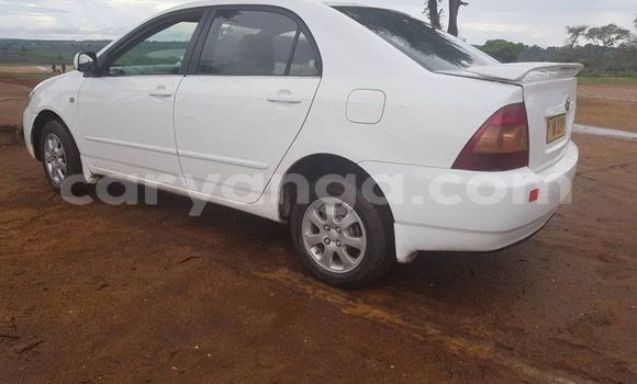 Buy Used Toyota Corolla White Car in Lilongwe in Malawi Buy Used Toyota Corolla White Car in Lilongwe in Malawi