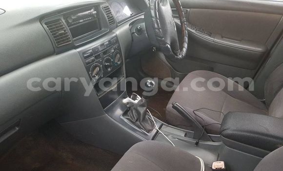 Buy Used Toyota Corolla White Car in Lilongwe in Malawi Buy Used Toyota Corolla White Car in Lilongwe in Malawi