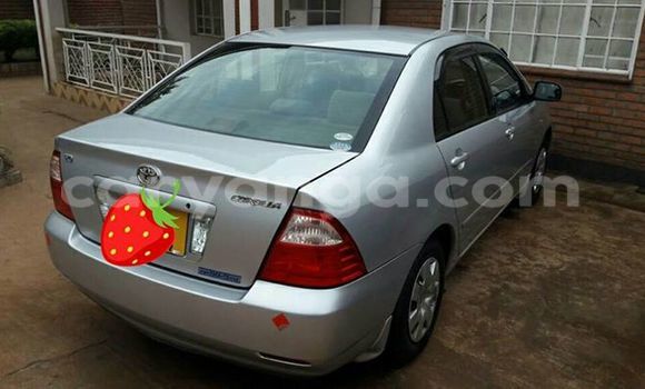 Buy Used Toyota Corolla Silver Car in Limete in Malawi Buy Used Toyota Corolla Silver Car in Limete in Malawi