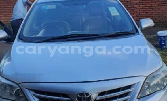 Buy Used Toyota Corolla Silver Car in Lilongwe in Malawi Buy Used Toyota Corolla Silver Car in Lilongwe in Malawi