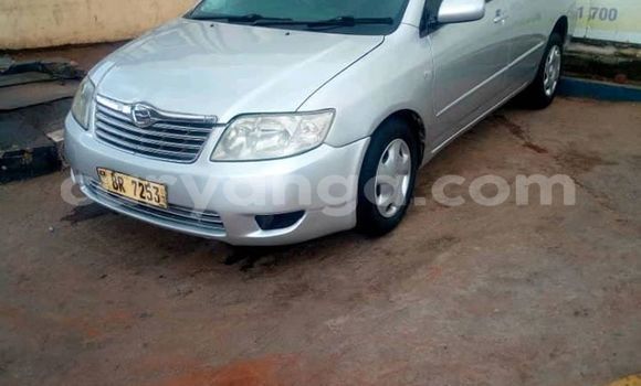 Buy Used Toyota Corolla Silver Car in Lilongwe in Malawi Buy Used Toyota Corolla Silver Car in Lilongwe in Malawi