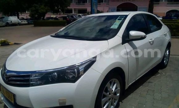 Buy Used Toyota Corolla White Car in Lilongwe in Malawi Buy Used Toyota Corolla White Car in Lilongwe in Malawi