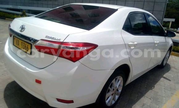 Buy Used Toyota Corolla White Car in Lilongwe in Malawi Buy Used Toyota Corolla White Car in Lilongwe in Malawi