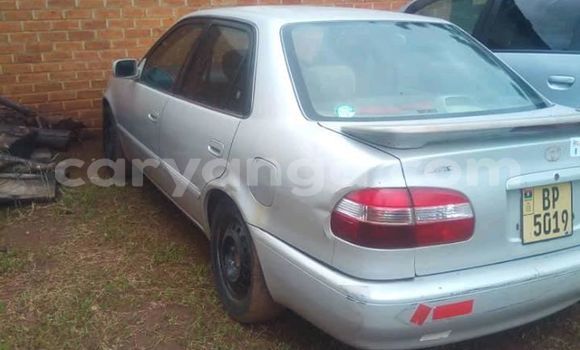 Buy Used Toyota Corolla Silver Car in Lilongwe in Malawi Buy Used Toyota Corolla Silver Car in Lilongwe in Malawi