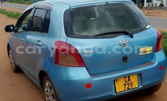 Buy Used Toyota Vitz Blue Car in Lilongwe in Malawi Buy Used Toyota Vitz Blue Car in Lilongwe in Malawi