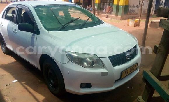Buy Used Toyota Axio White Car in Lilongwe in Malawi Buy Used Toyota Axio White Car in Lilongwe in Malawi