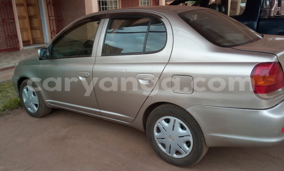 Acheter Occasion Voiture Toyota Platz Gris à Lilongwe, Malawi Acheter Occasion Voiture Toyota Platz Gris à Lilongwe, Malawi