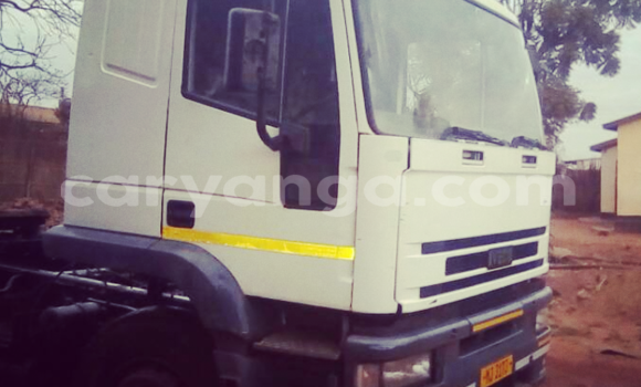 Buy Used Iveco Cargo White Truck in Lilongwe in Malawi Buy Used Iveco Cargo White Truck in Lilongwe in Malawi