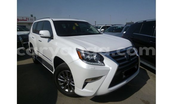 Buy Import Lexus GX White Car in Import - Dubai in Malawi