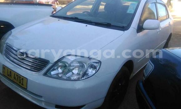 Nunua Ilio tumika Toyota Corolla White Gari ndani ya Limete nchini Malawi Nunua Ilio tumika Toyota Corolla White Gari ndani ya Limete nchini Malawi