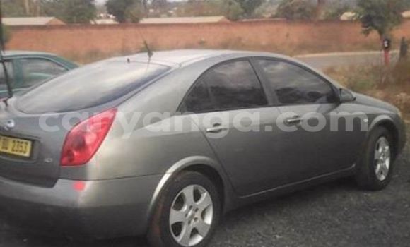 Nunua Ilio tumika Nissan Primera Silver Gari ndani ya Limete nchini Malawi Nunua Ilio tumika Nissan Primera Silver Gari ndani ya Limete nchini Malawi