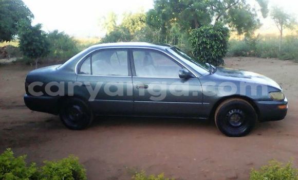 Nunua Ilio tumika Toyota Corolla Other Gari ndani ya Limete nchini Malawi Nunua Ilio tumika Toyota Corolla Other Gari ndani ya Limete nchini Malawi