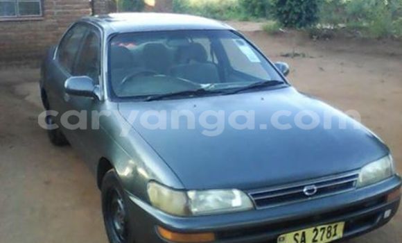 Nunua Ilio tumika Toyota Corolla Other Gari ndani ya Limete nchini Malawi Nunua Ilio tumika Toyota Corolla Other Gari ndani ya Limete nchini Malawi