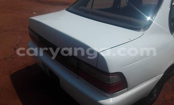 Nunua Ilio tumika Toyota Corolla White Gari ndani ya Limete nchini Malawi Nunua Ilio tumika Toyota Corolla White Gari ndani ya Limete nchini Malawi
