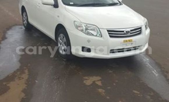 Acheter Occasion Voiture Toyota 4Runner Blanc à Lilongwe, Malawi