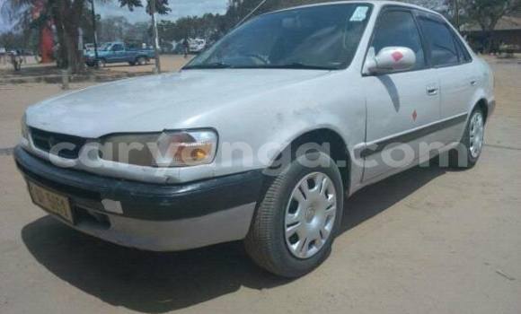 Acheter Occasion Voiture Toyota Corolla Gris à Limete, Malawi Acheter Occasion Voiture Toyota Corolla Gris à Limete, Malawi
