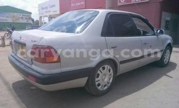 Acheter Occasion Voiture Toyota Corolla Gris à Limete, Malawi Acheter Occasion Voiture Toyota Corolla Gris à Limete, Malawi