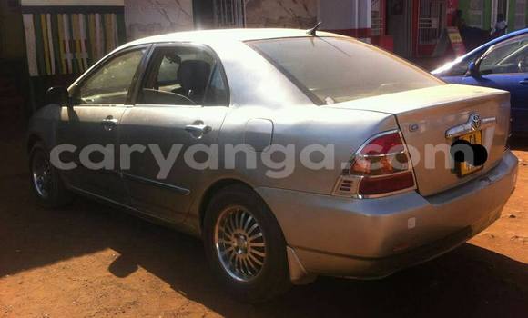 Acheter Occasion Voiture Toyota Corolla Gris à Limete, Malawi Acheter Occasion Voiture Toyota Corolla Gris à Limete, Malawi