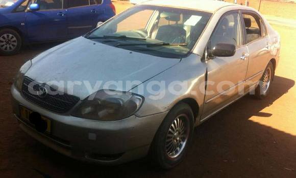 Acheter Occasion Voiture Toyota Corolla Gris à Limete, Malawi Acheter Occasion Voiture Toyota Corolla Gris à Limete, Malawi