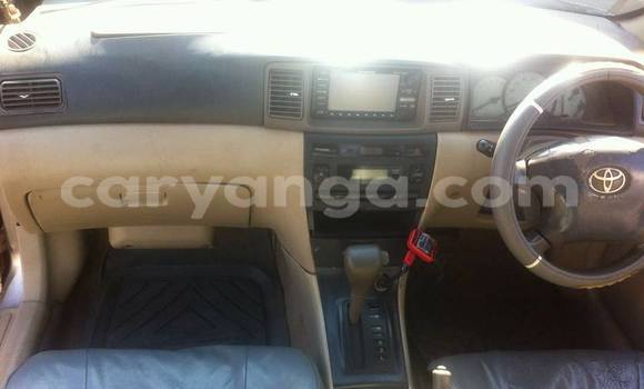 Acheter Occasion Voiture Toyota Corolla Gris à Limete, Malawi Acheter Occasion Voiture Toyota Corolla Gris à Limete, Malawi