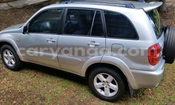 Buy Used Toyota RAV4 Silver Car in Lilongwe in Malawi Buy Used Toyota RAV4 Silver Car in Lilongwe in Malawi