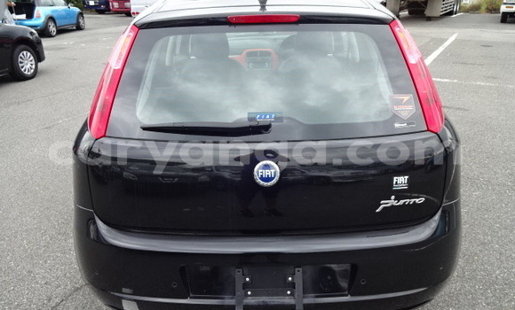 Buy Used Fiat Punto Black Car in Lilongwe in Malawi