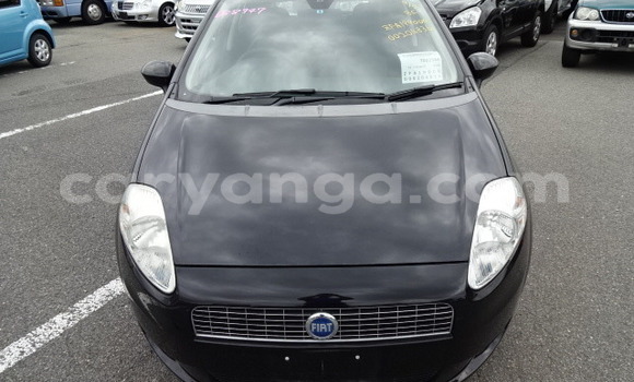 Buy Used Fiat Punto Black Car in Lilongwe in Malawi Buy Used Fiat Punto Black Car in Lilongwe in Malawi