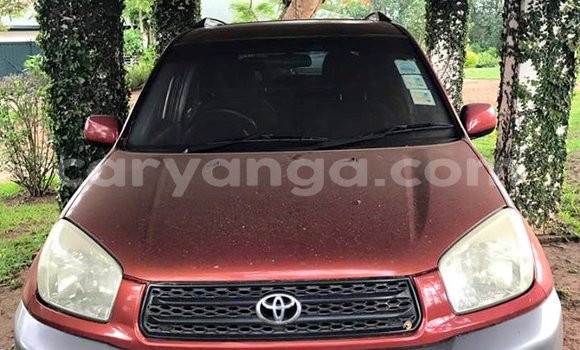 Buy Used Toyota RAV4 Red Car in Limete in Malawi Buy Used Toyota RAV4 Red Car in Limete in Malawi
