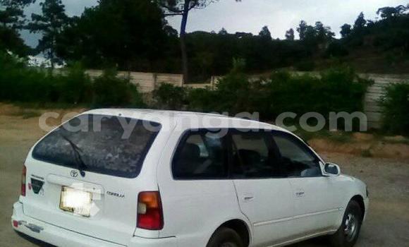 Buy Used Toyota Corolla White Car in Limete in Malawi Buy Used Toyota Corolla White Car in Limete in Malawi