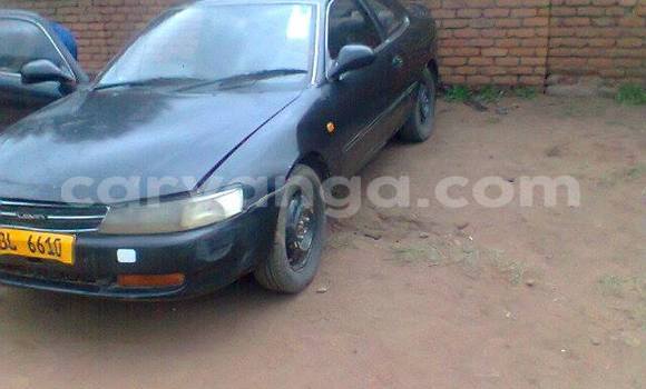 Buy Used Toyota Levin Black Car in Blantyre in Malawi Buy Used Toyota Levin Black Car in Blantyre in Malawi