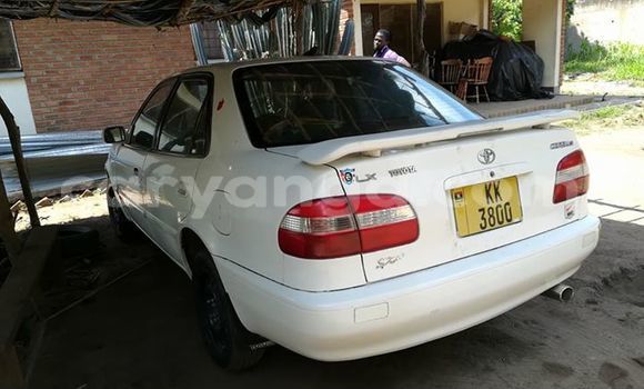 Buy Used Toyota Corolla White Car in Lilongwe in Malawi Buy Used Toyota Corolla White Car in Lilongwe in Malawi