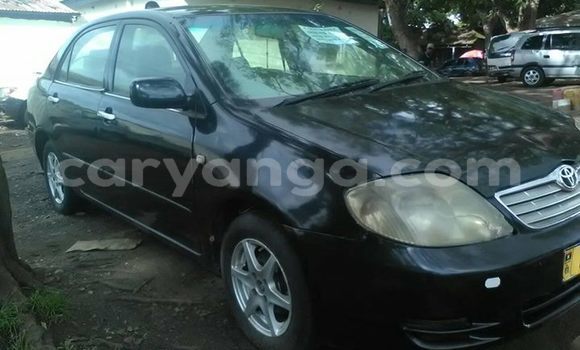 Buy Used Toyota Corolla Black Car in Lilongwe in Malawi Buy Used Toyota Corolla Black Car in Lilongwe in Malawi