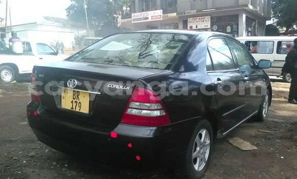Nunua Ilio tumika Toyota Corolla Black Gari ndani ya Lilongwe nchini Malawi Nunua Ilio tumika Toyota Corolla Black Gari ndani ya Lilongwe nchini Malawi