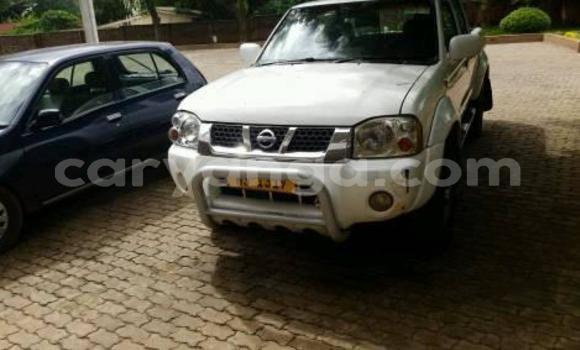 Buy Used Nissan Hardbody White Car in Lilongwe in Malawi Buy Used Nissan Hardbody White Car in Lilongwe in Malawi
