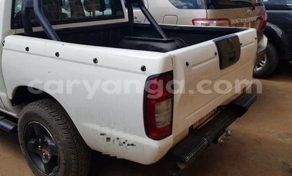 Buy Used Nissan Hardbody White Car in Lilongwe in Malawi