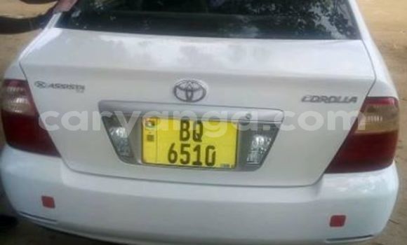Buy Used Toyota Corolla White Car in Kasungu in Malawi Buy Used Toyota Corolla White Car in Kasungu in Malawi